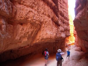 Hikes, Walks and Outings