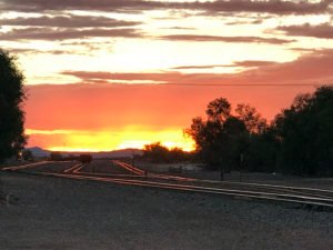 Incredible sights from the outdoors